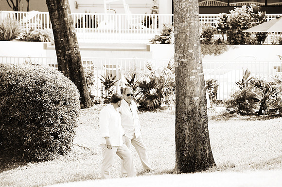 CB-wed_270